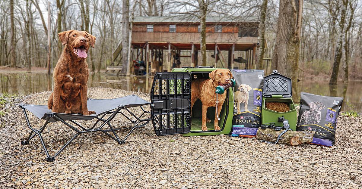 Retriever Essentials Ducks Unlimited